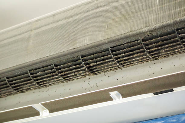 Best Air Vent Cleaning Services  in Greenville, FL